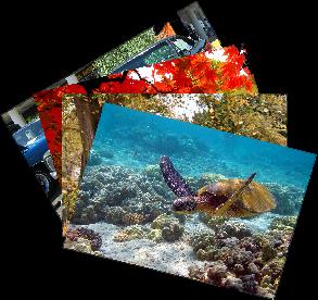 Plakat A1 foto - A1 foto plakat Bytom Plakat A1 foto - A1 foto plakat Bytom